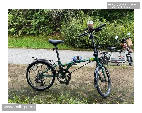 探索大行自行车官网全新体验畅享骑行乐趣与品质生活