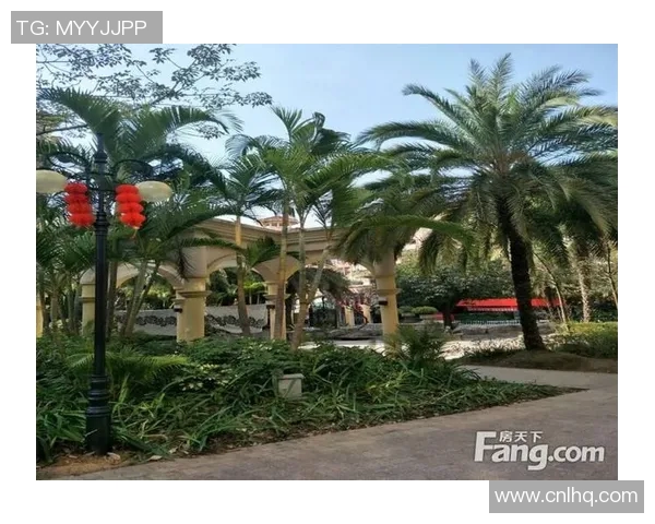 深圳佳兆与石家庄的城市发展对比与未来展望分析 深圳佳兆与石家庄的城市发展对比与未来展望分析