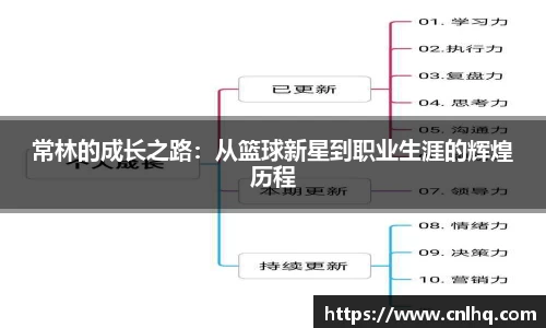 MK体育手机网页版登录