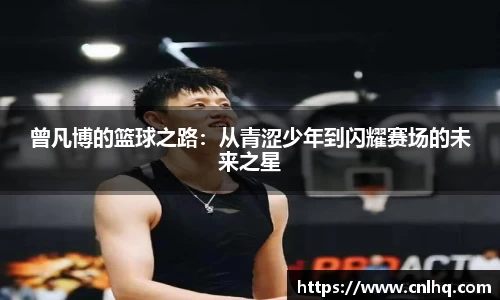 MK体育手机网页版登录